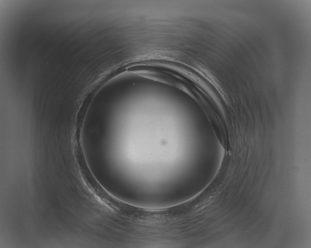 X0000070180485200605301355