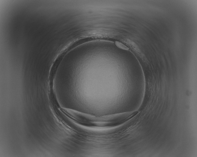 X0000070180488200605301355