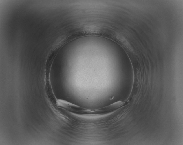 X0000070180494200605301355