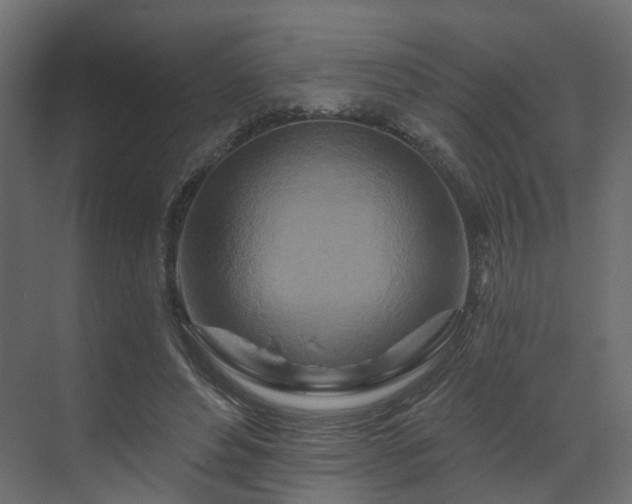 X0000070180496200605301355
