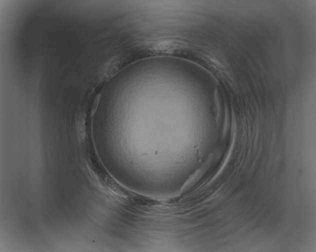 X0000070180504200605301355