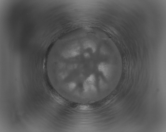 X0000070180507200605301355