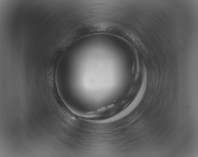 X0000070180509200605301355