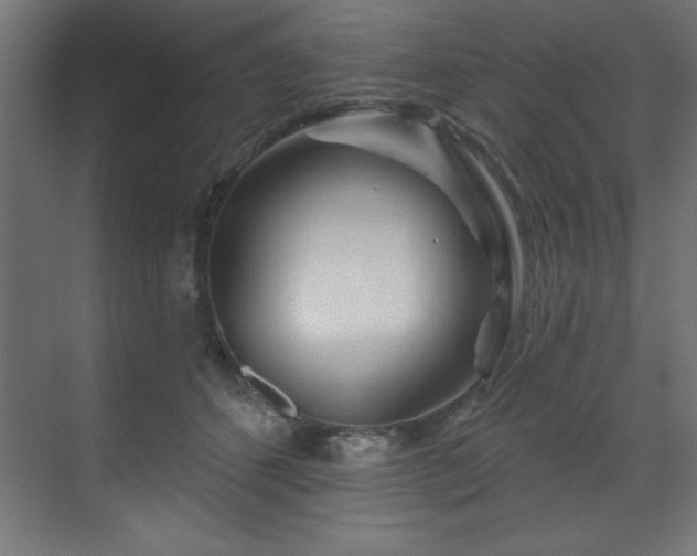 X0000070180512200605301355