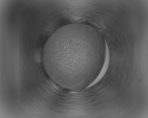 X0000070180515200605301354