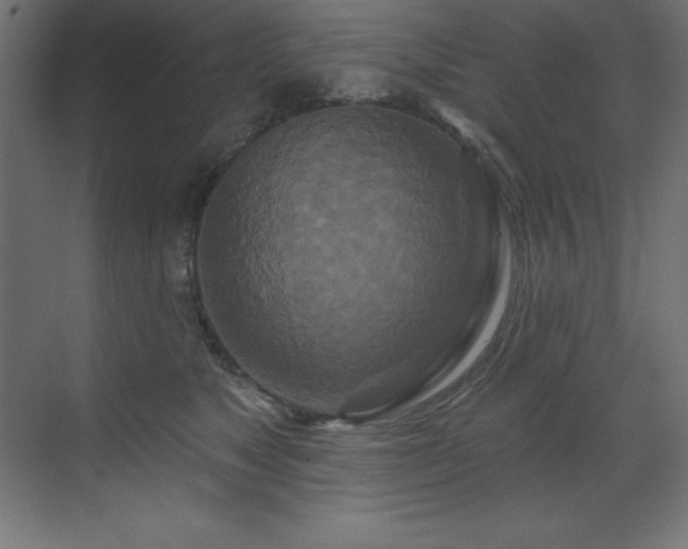 X0000070180517200605301354