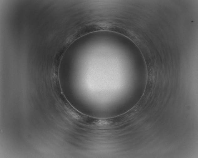 X0000070180518200605301354