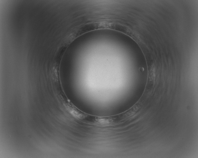 X0000070180522200605301354