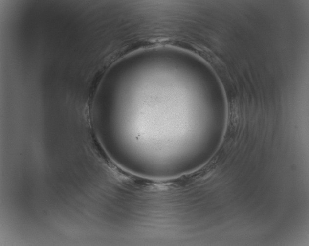 X0000070180523200605301354