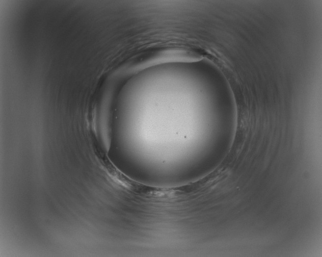 X0000070180524200605301354
