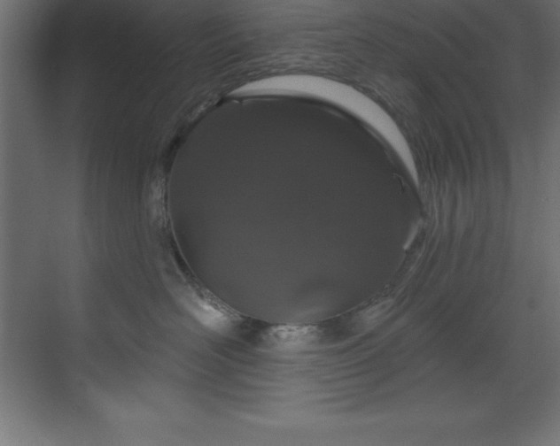 X0000070180526200605301354