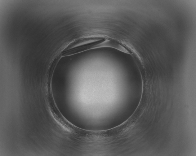 X0000070180533200605301354