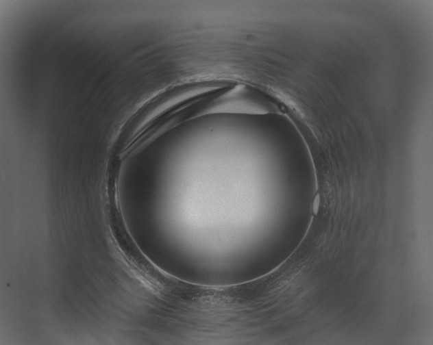 X0000070180535200605301354