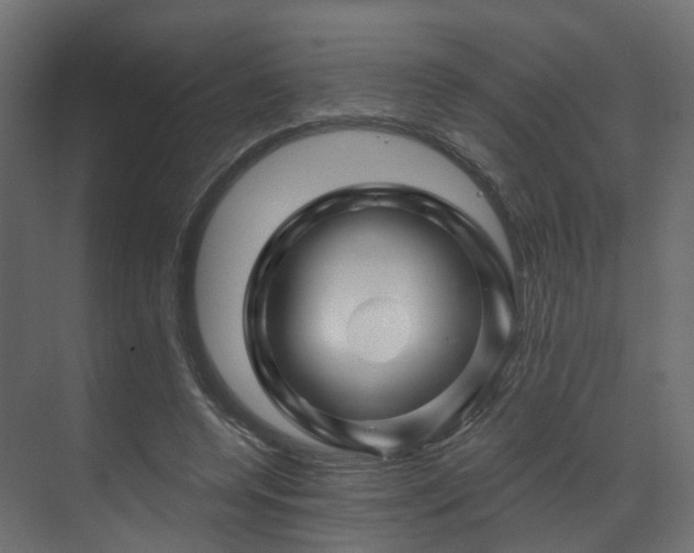 X0000070180544200605301354