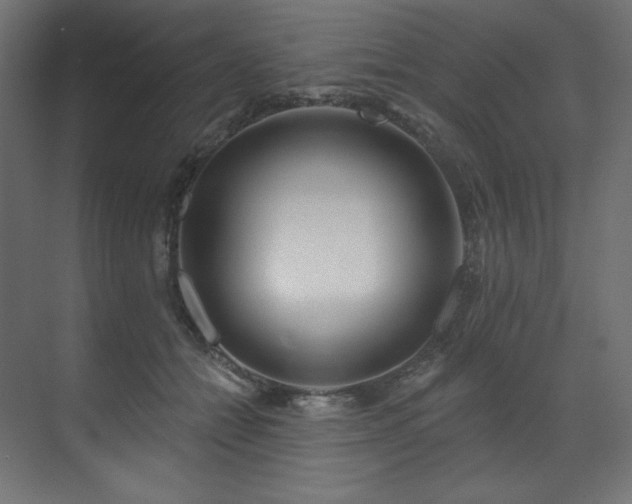 X0000070180558200605301354