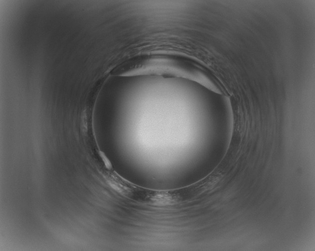 X0000070180562200605301354