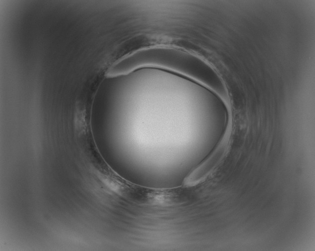 X0000070180564200605301354