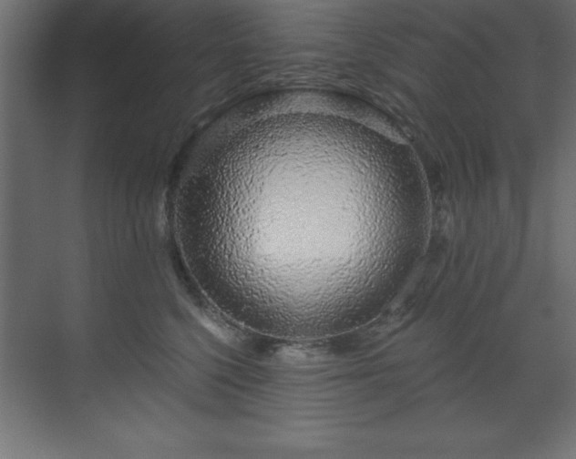 X0000070180568200605301354