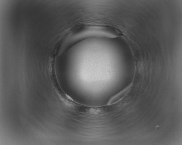 X0000070180570200605301354