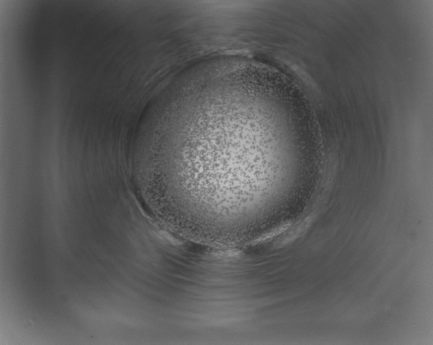 X0000070180576200605301354