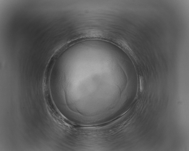 X0000070180579200605301353