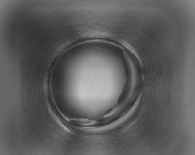 X0000070180581200605301353