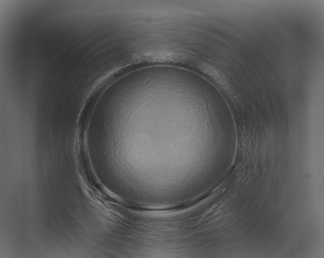 X0000070180583200605301353