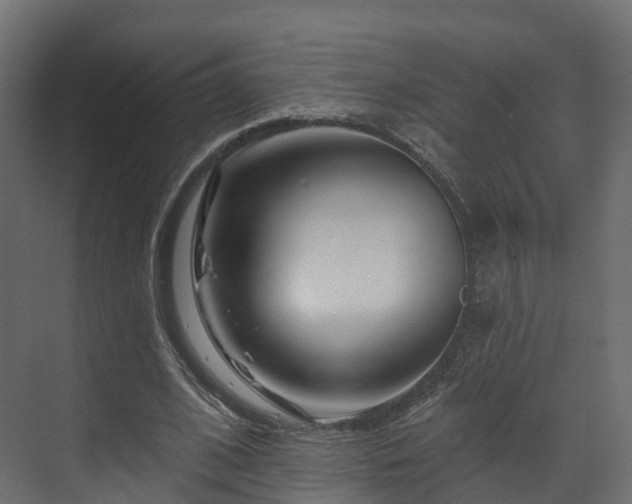 X0000070180584200605301353