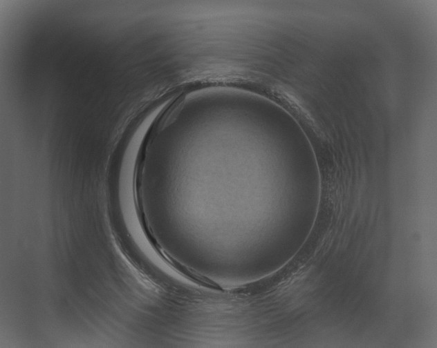 X0000070180586200605301353