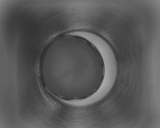 X0000070180587200605301353