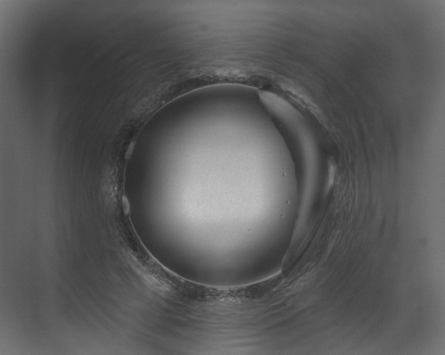 X0000070180593200605301353