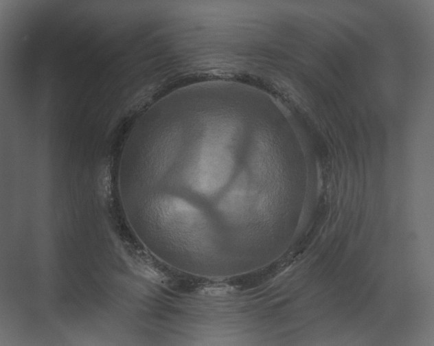 X0000070180595200605301353