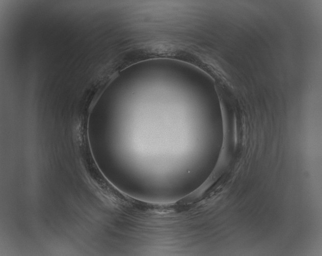 X0000070180597200605301353