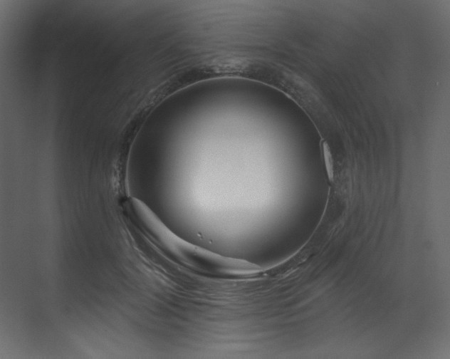 X0000070180604200605301353