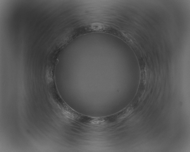 X0000070180606200605301353