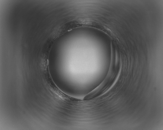 X0000070180609200605301353