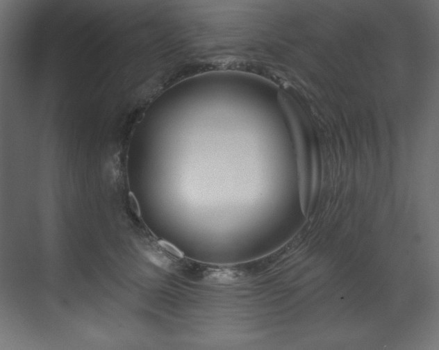 X0000070180611200605301353