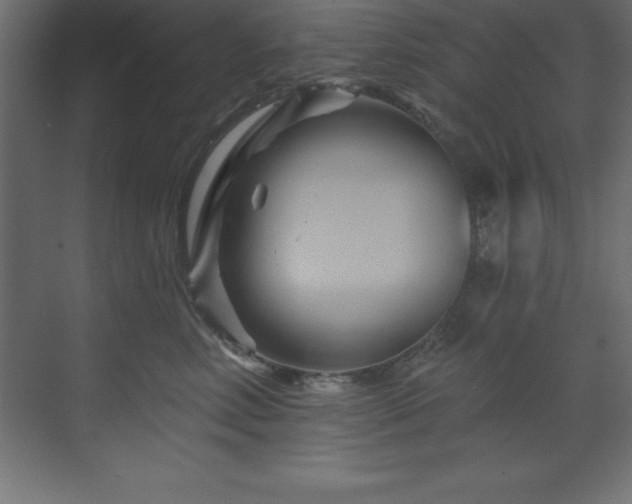 X0000070180618200605301353
