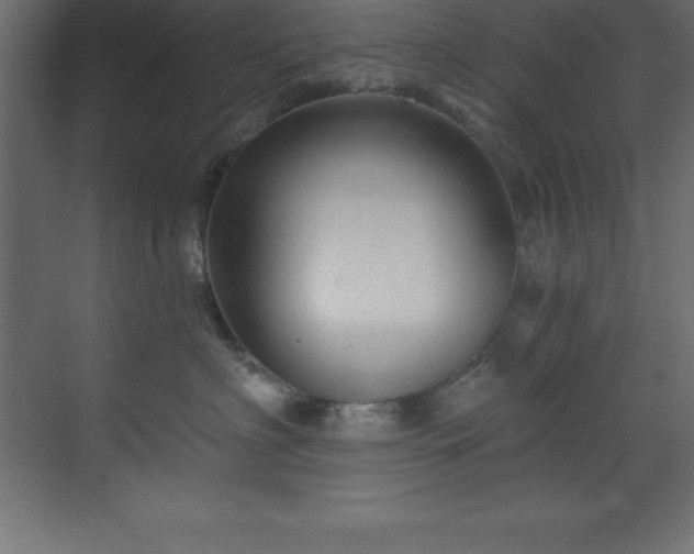 X0000070180622200605301353