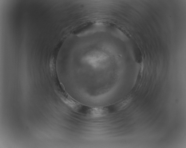 X0000070180623200605301353