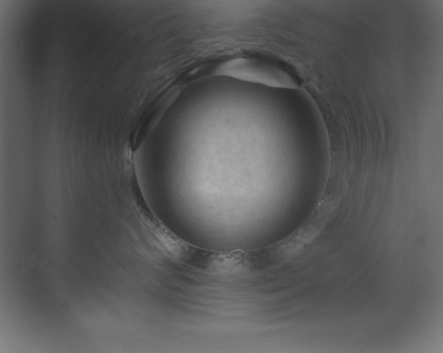 X0000070180624200605301353