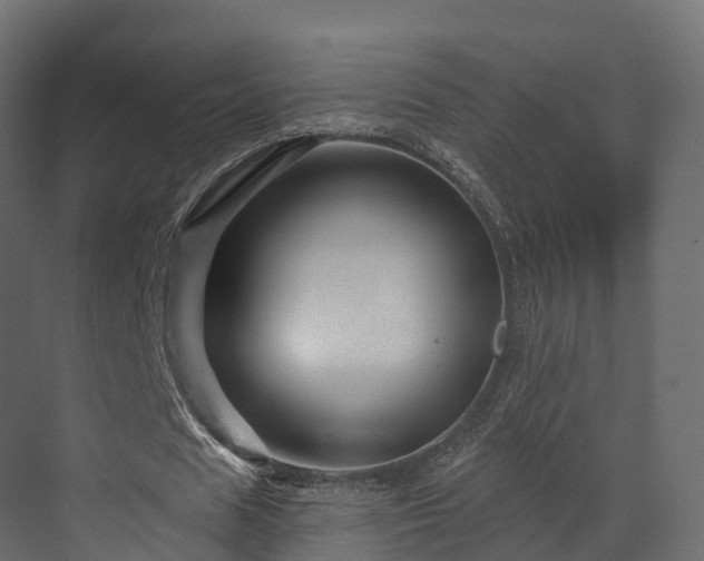 X0000070180625200605301352