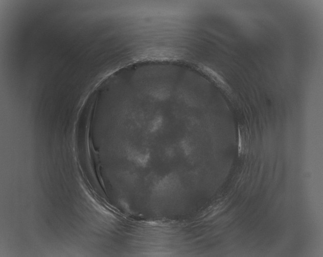X0000070180627200605301352
