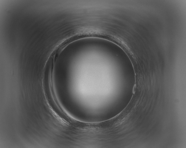 X0000070180629200605301352