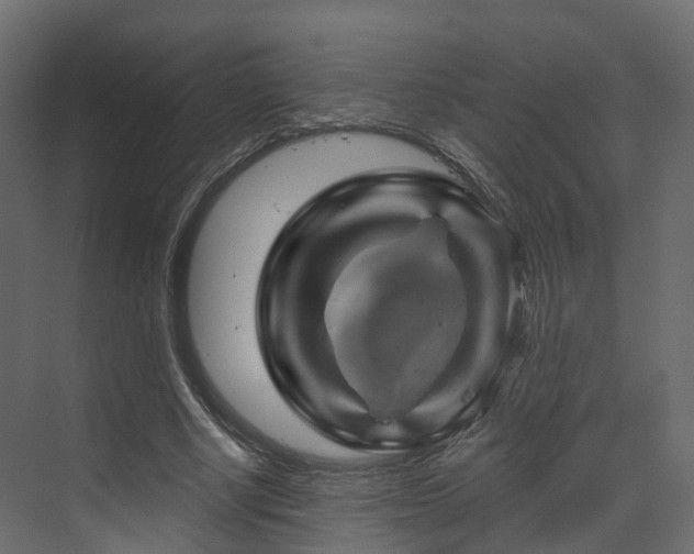 X0000070180634200605301352