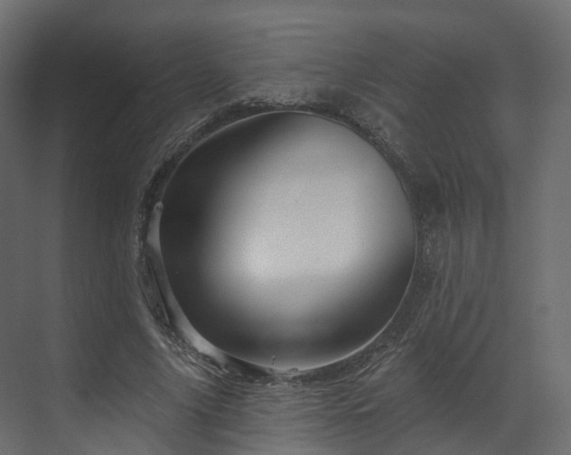 X0000070180635200605301352
