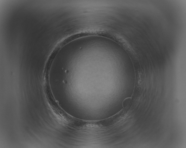 X0000070180636200605301352