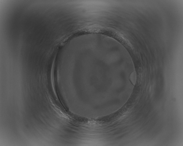 X0000070180641200605301352