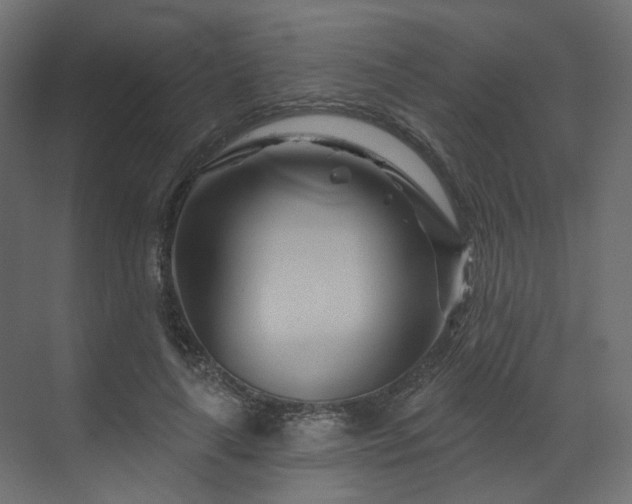 X0000070180643200605301352