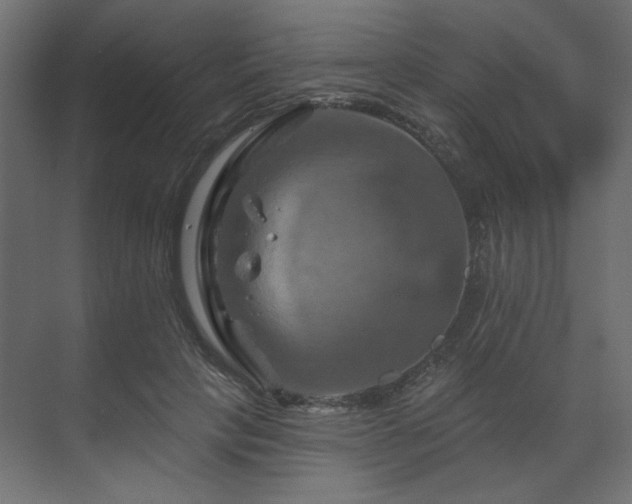 X0000070180649200605301352